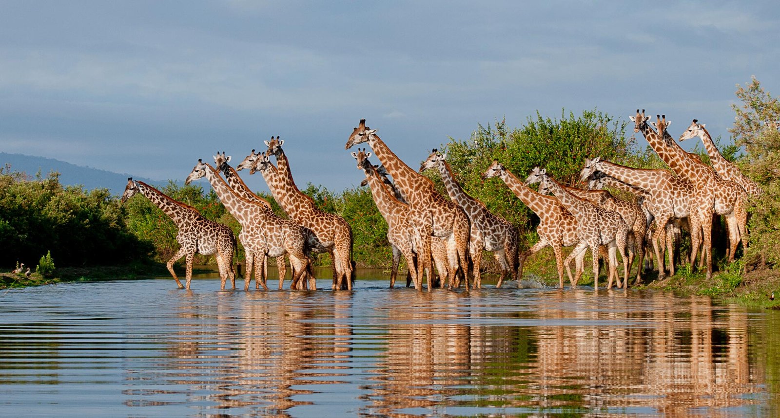 Nyerere National Park