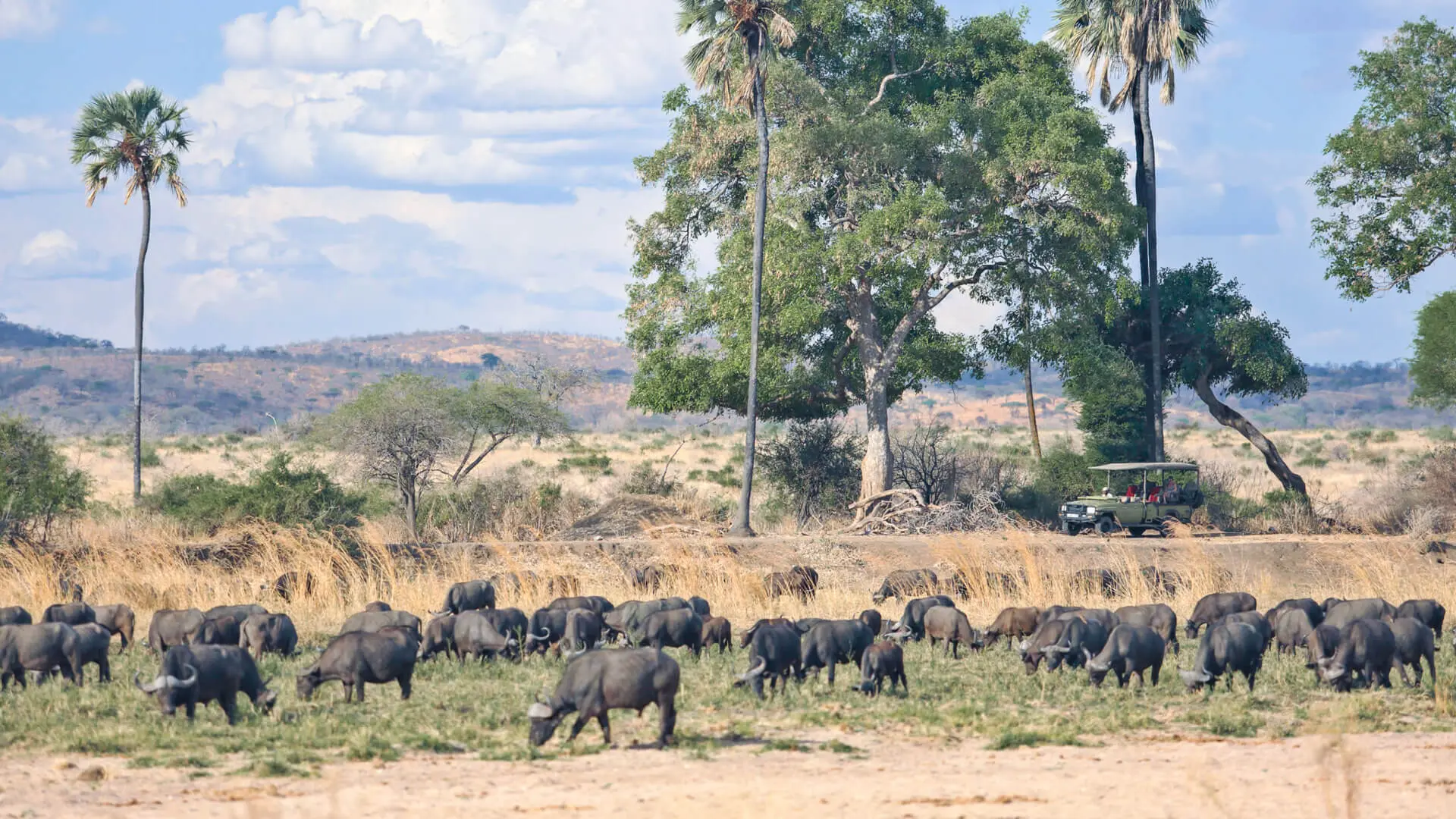 Southern Tanzania Wilderness Journey